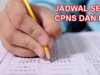 Ini Jadwal Seleksi CPNS dan PPPK 2023, Baca dan Arsipkan